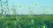 Grassy field with digital eco-friendly icons overlaying