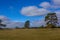 Grassy Field Natural Landscape Blue Sky Scattered Trees Farmland Clouds Daytime