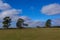 Grassy Field Natural Landscape Blue Sky Scattered Trees Farmland Clouds Daytime