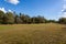 Grassy Field Natural Landscape Blue Sky Scattered Trees Farmland Clouds Daytime