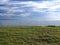 Grassy field by the ocean