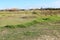 Grassy fields at Big Swamp Bunbury West Australia