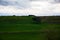 Grassy fields in the Roma border line