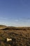 The Grassy foreshore behind the Shingle Coastline at Johnshaven