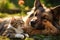 On the grassy ground, dog and cat lounge in perfect harmony