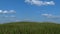 Grassy Hill With Blue Sky Background.