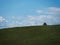 Grassy hill with a solitary young tree in the far distance, South Dakota landscape