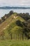 Grassy hills at Duder Regional Park