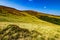 Grassy hills on late summer day