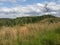 Grassy hillside landscape