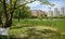 Grassy lakeshore in modern city on sunny summer day