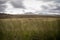 Grassy landscape Brecon Beacons Wales