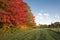 Grassy lane in autumn