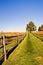 Grassy Lane on a Fall Afternoon