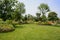 Grassy lawn on flowering hillside in sunny summer