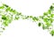 Grassy Leaves Flying Vector Wallpaper. Abstract