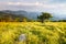 Grassy Meadow on Appalachian Trail North Carolina Tennessee