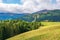 Grassy meadow on the hillside