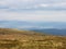 grassy meadow landscape of ukrainian mountains