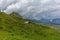 The grassy meadows of the Alps in Switzerland in summer  - 3