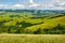 Grassy meadows and forested hill