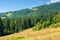 grassy meadows of mountainous scenery in summer