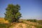 Grassy path dividing agriculture fields