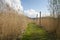 Grassy path between high grasses in the city park