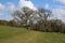 Grassy path through Levens Hall Deer Park, Cumbria