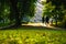 Grassy path and silhouettes of people