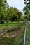 Grassy rails, railway, sleepers. Rails in perspective. There are trees and bushes.