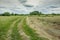 Grassy road and grass mowed in a meadow, gray clouds in the sky