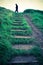 Grassy steps up hillside with silhouetted man walking