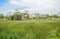 Grassy and weedy lake before countryside dwelling buildings under construction in sunny summer afternoon