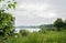 Grassy and weedy lakeside in cloudy raining summer morning