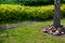 Grate drainage system on lawn with green grass and bushes in backyard garden.