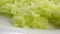 Grated fresh green zucchini in a white plate close-up. Macro.