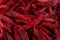 Grated fresh red beet as background