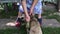 Grateful dog standing calmly while senior woman hands combing its gray fur on back