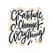 Gratitude changes everything hand drawn vector lettering. Isolated on white background.