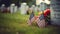 A grave with an american flag and colorful flowers are noticeable in the background for memorial day