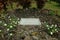 Grave of Aviator Charles Lindbergh Near Hana, Maui, Hawaii