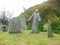 Grave markers and statue in churchyard