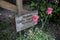 Grave of Sophia Tolstoy, Wife of famous writer Leo Tolstoy