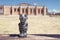 Grave statue, Andean Puma, Puma Punku.  on the background of the museum in Tiwanaku