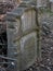 Grave surrounded by dry branches