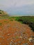 Gravel Beach and Seaweed at White Cliffs of Dover at St Margarets Bay