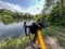 Gravel bicycle in the city park on the summer season