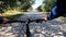 Gravel bicycle ride on the road in the summer season