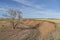 Gravel bike under a lonely tree